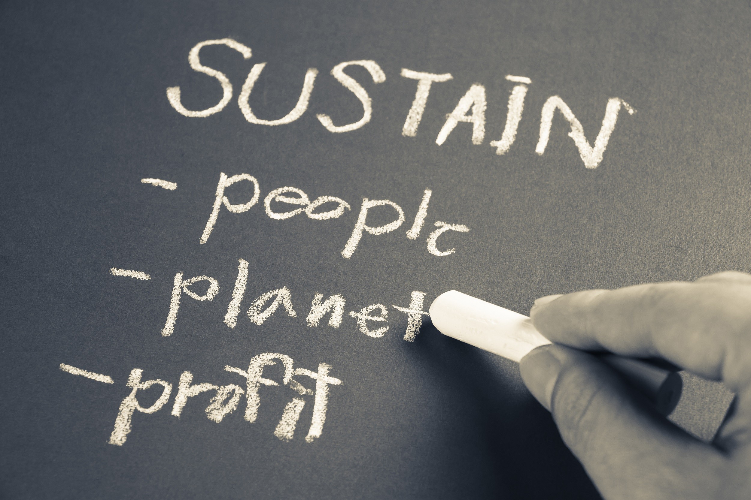 Marketing’s role in building a sustainable business